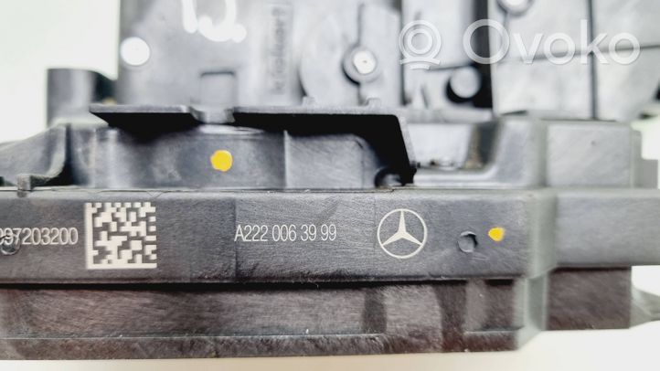 Mercedes-Benz C W205 Durų spyna (dvidurio) A2220063999