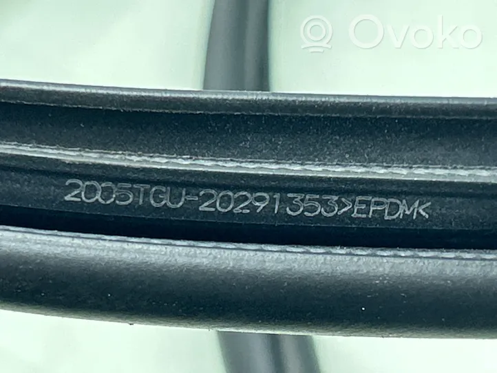 Toyota RAV 4 (XA50) Joint d'étanchéité en caoutchouc pour porte arrière 20291353