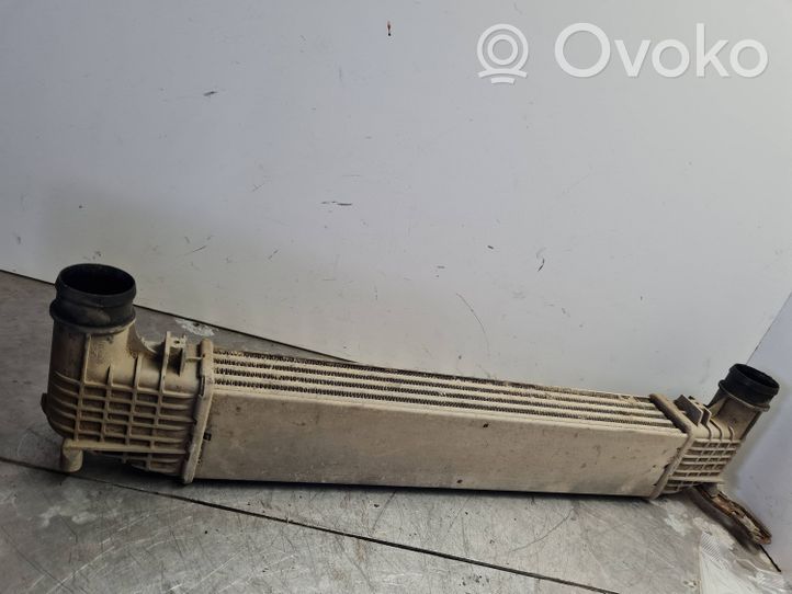 Volkswagen Sharan Radiatore intercooler 0823856