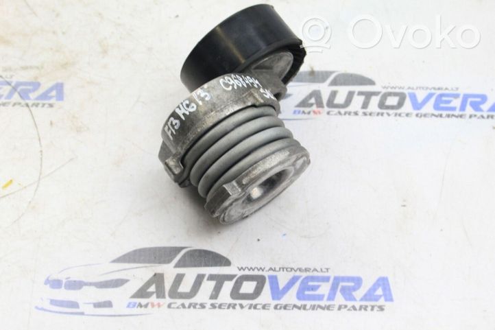 BMW M5 Tendicinghia generatore/alternatore 7549873