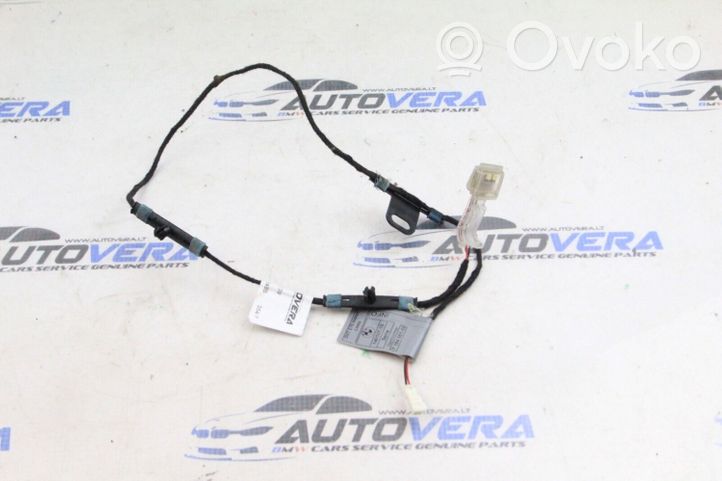 BMW X5 E70 Luce esterna maniglia portiera posteriore 7184661