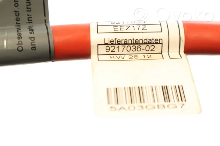 BMW 5 GT F07 Câble de batterie positif 9217036