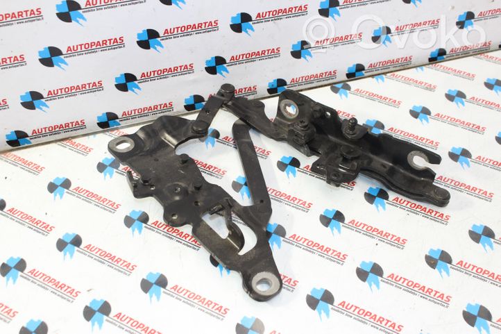 BMW 6 F06 Gran coupe Engine bonnet/hood hinges 7249887