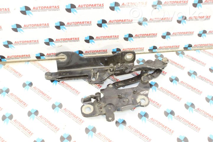 BMW 3 GT F34 Cerniere del vano motore/cofano 7239416