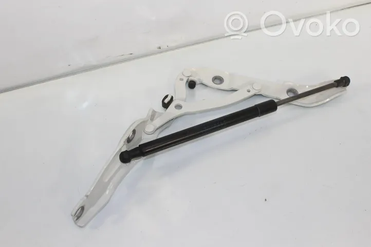 BMW 2 F22 F23 Cerniera portellone posteriore/bagagliaio 7304557