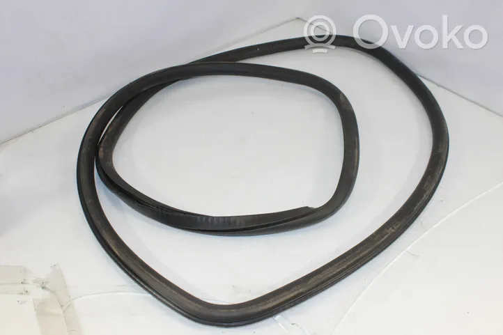 BMW 7 F01 F02 F03 F04 Front door rubber seal 7177999