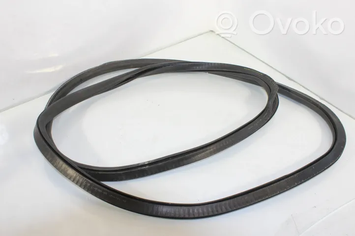 BMW 7 F01 F02 F03 F04 Front door rubber seal 7177999