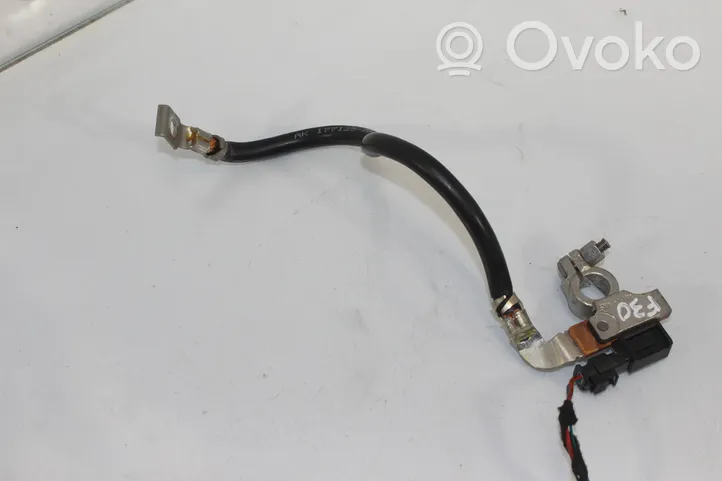 BMW 3 F30 F35 F31 Negative earth cable (battery) 7631109