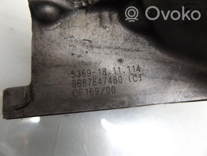 Citroen C3 Picasso Supporto di montaggio del filtro dell’olio 