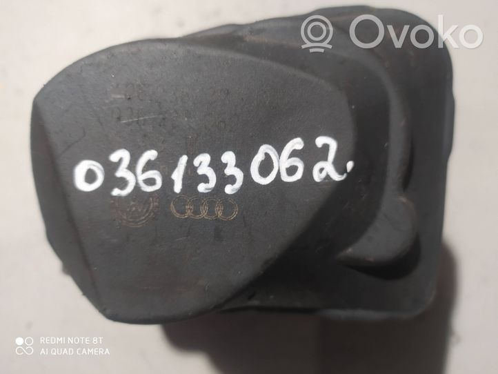 Volkswagen Golf IV Throttle valve 036133062