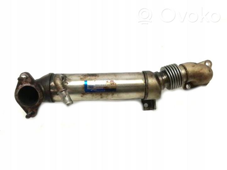 Honda Accord EGR-venttiili/lauhdutin W810311000