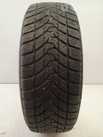 Fiat Punto (188) R14 winter tire DELINTE