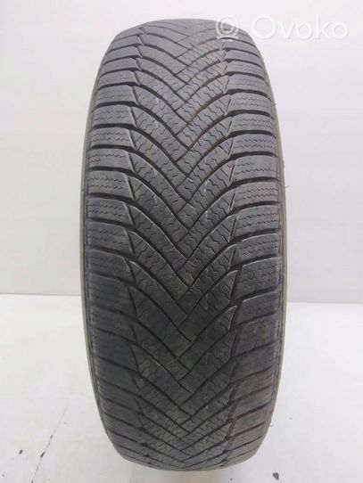 Fiat Punto (188) R14 winter tire MINERVA