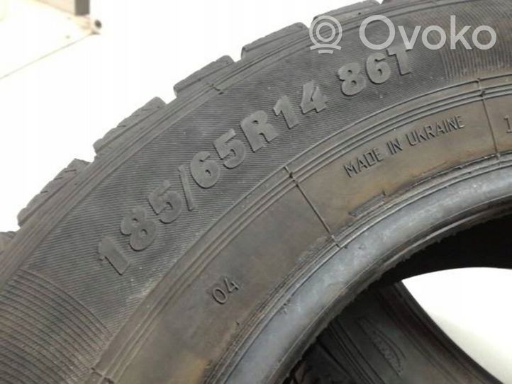 Fiat Punto (188) R14 winter tire PREMIORRI