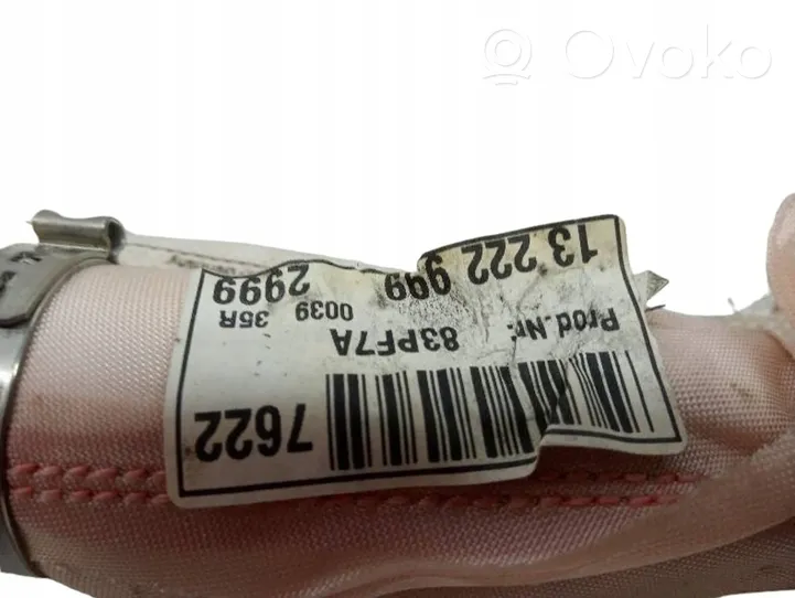 Opel Insignia A Airbag da tetto 13222999