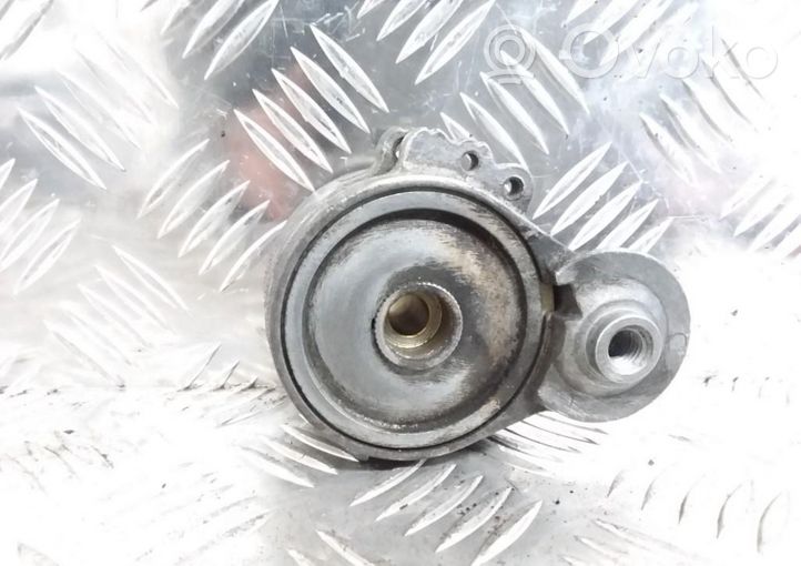 Citroen C5 Napinacz paska alternatora 