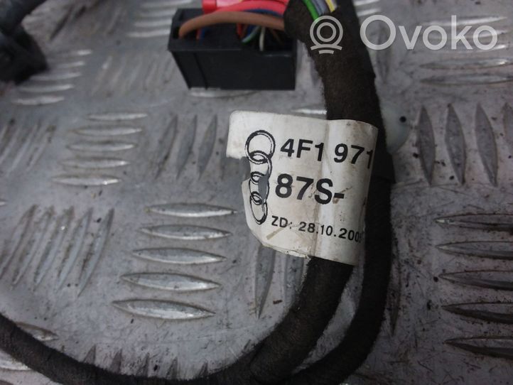 Audi A6 S6 C6 4F Cableado de puerta trasera 4F1971687S