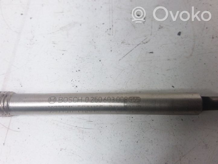 Volvo XC60 Glow plug 0250603008