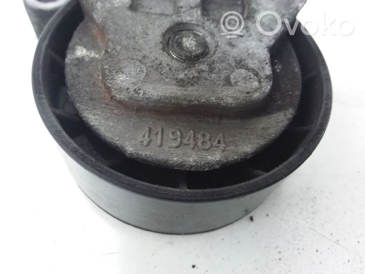 Volvo C30 Napinacz paska alternatora 419484