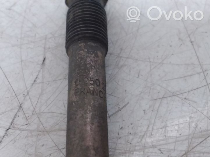 Citroen Xsara Picasso Glow plug 0250202032