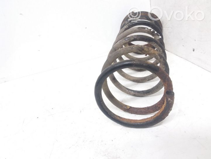 Hyundai Sonata Rear coil spring 