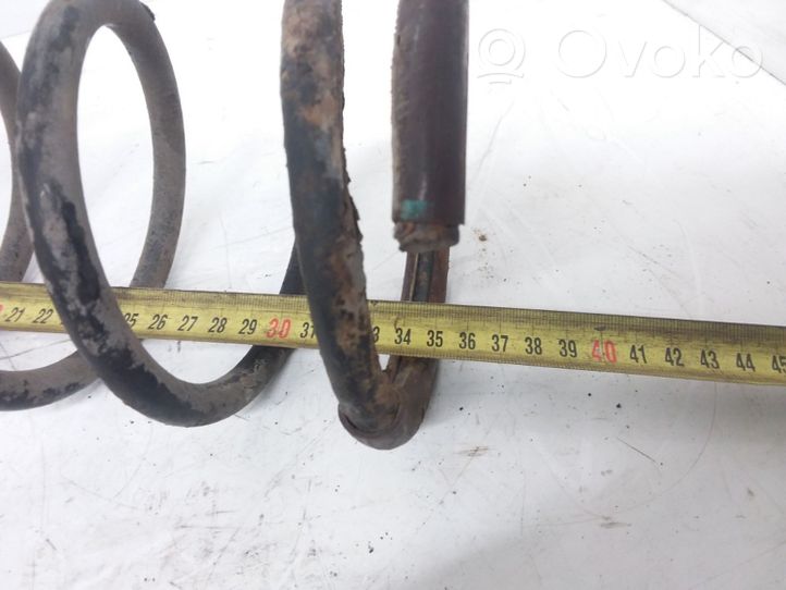 Hyundai Sonata Rear coil spring 