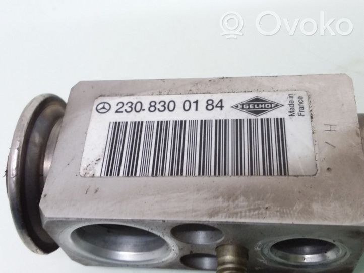 Mercedes-Benz E W211 Air conditioning (A/C) expansion valve 2308300184