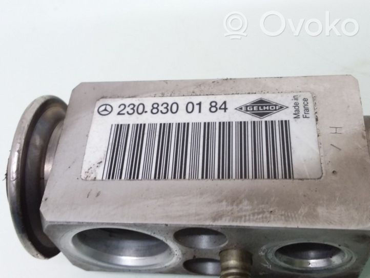 Mercedes-Benz E W211 Valvola ad espansione dell’aria condizionata (A/C) 2308300184