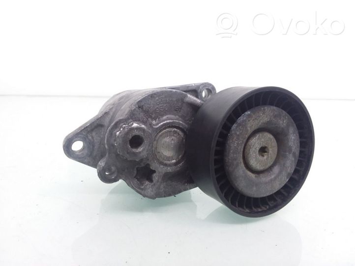 Mercedes-Benz E W211 Napinacz paska wielorowkowego / Alternatora 950151