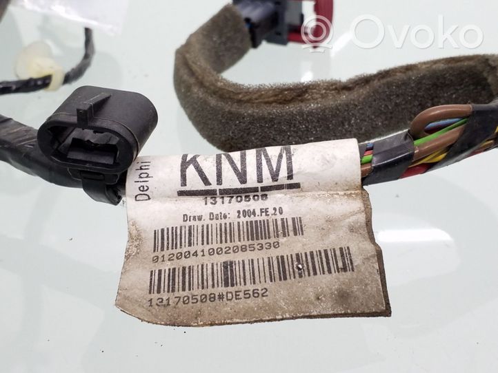 Opel Signum Priekšējo durvju vadu instalācija 13170508