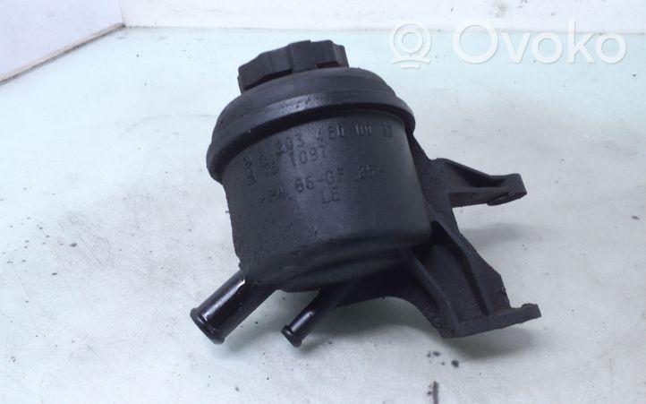 Mercedes-Benz ML W163 Serbatoio/vaschetta del liquido del servosterzo A2034600083