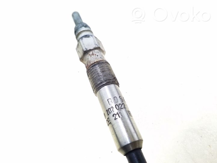 Volkswagen PASSAT B5 Glow plug 0250202022