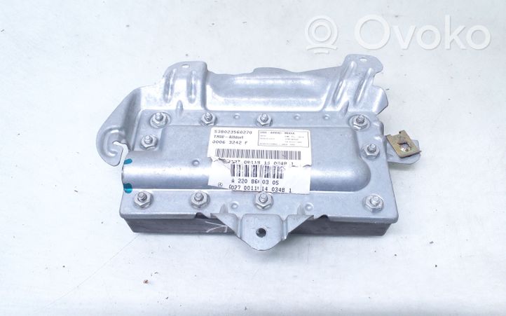 Mercedes-Benz S W220 Poduszka powietrzna Airbag drzwi przednich A2208600305