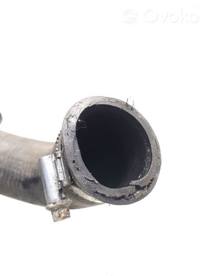 Alfa Romeo GTV Engine coolant pipe/hose A280
