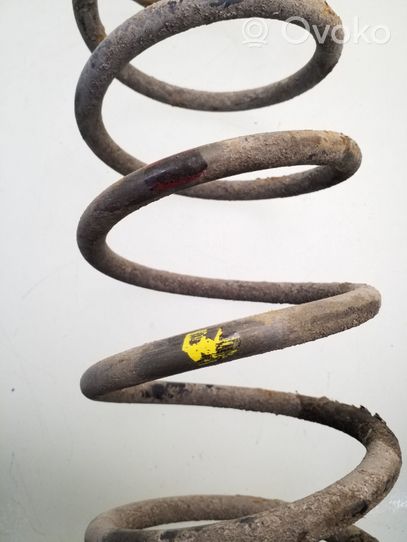 Daewoo Kalos Rear coil spring 