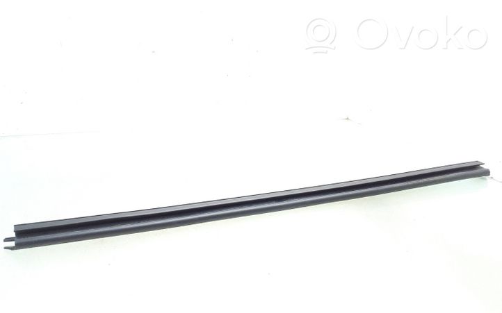 Ford Focus Rubber seal rear door window/glass 