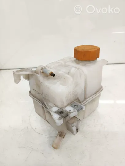 Chevrolet Captiva Coolant expansion tank/reservoir 95025829