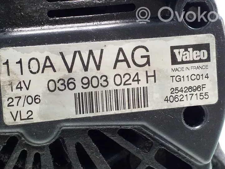 Volkswagen Caddy Generatore/alternatore 036903024H