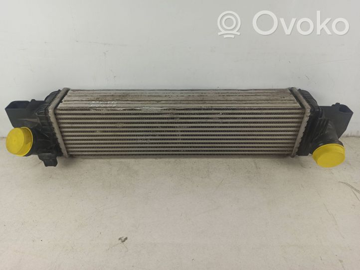 BMW 2 F45 Chłodnica powietrza doładowującego / Intercooler 1751761759805