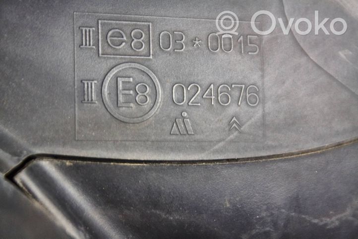 Citroen C3 Elektryczne lusterko boczne drzwi przednich 024676