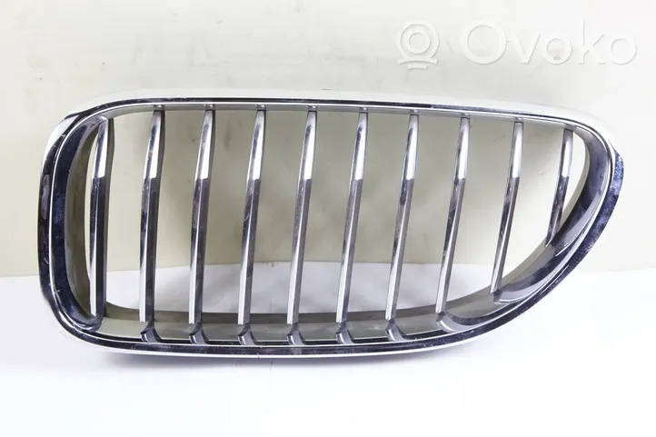 BMW M6 Front grill 51137212849