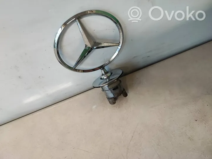 Mercedes-Benz S W222 Mostrina con logo/emblema della casa automobilistica 