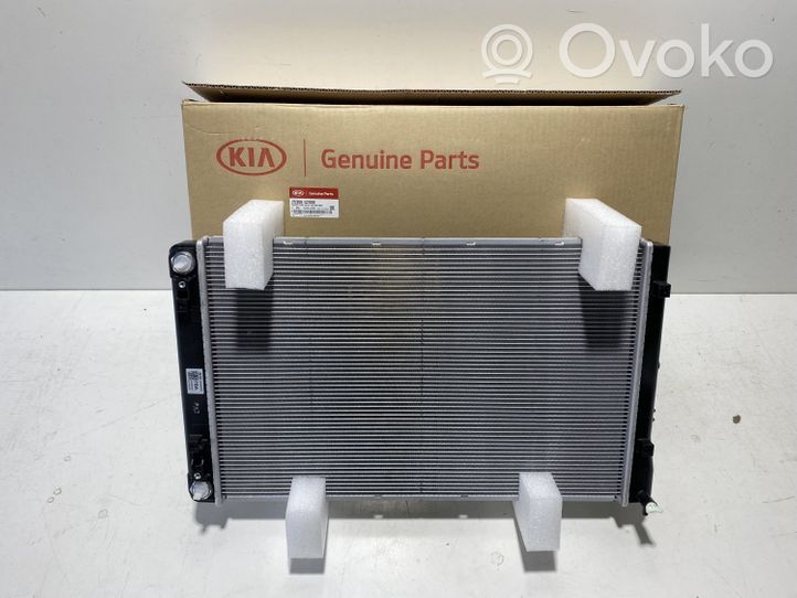 KIA Niro Radiateur de refroidissement 25308G2000