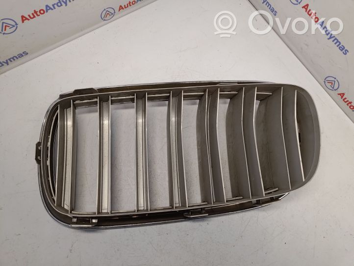 BMW X5 F15 Front grill 51117303108