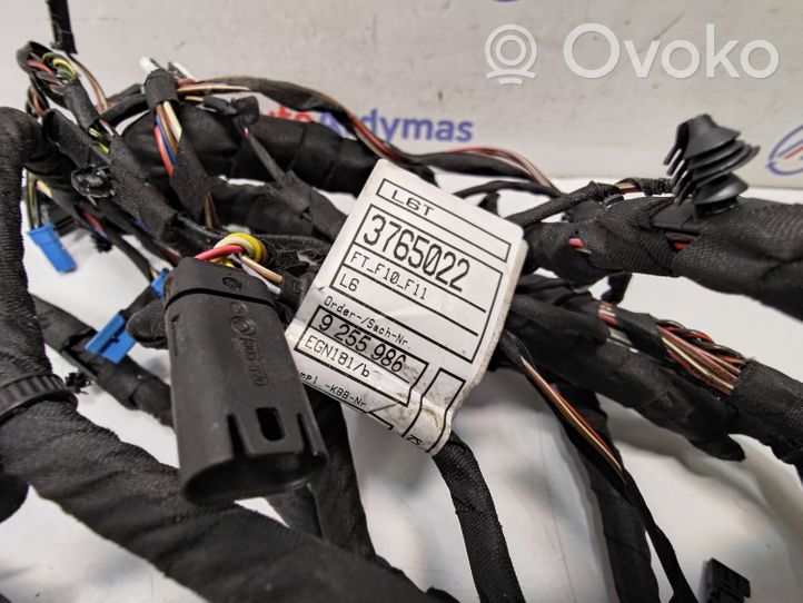 BMW 5 F10 F11 Cableado de puerta delantera 9255986