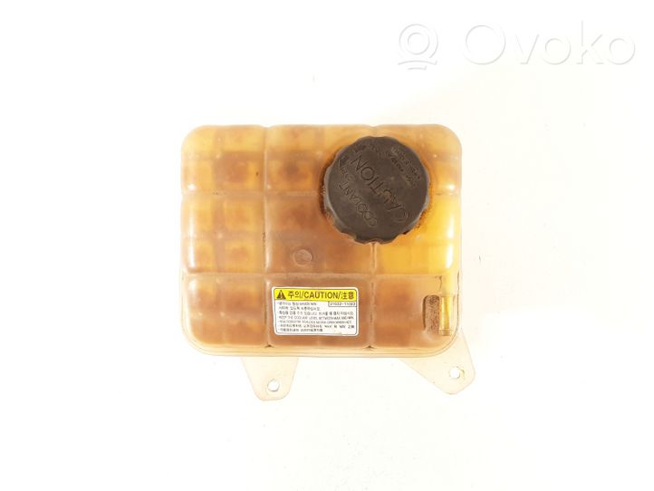 SsangYong Kyron Serbatoio di compensazione del liquido refrigerante/vaschetta 2163211002