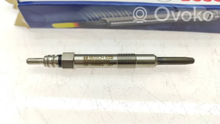 Opel Vectra C Glow plug 0250202036