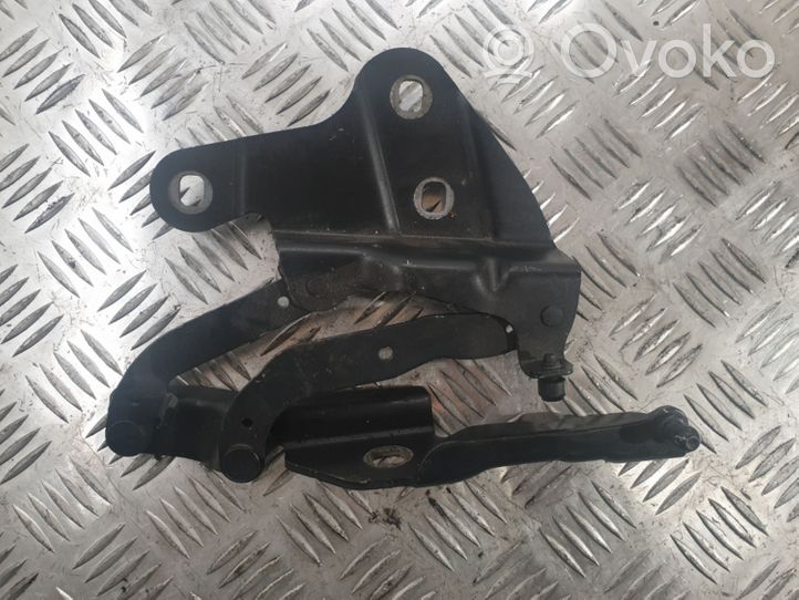 BMW X1 E84 Cerniere del vano motore/cofano 2990360