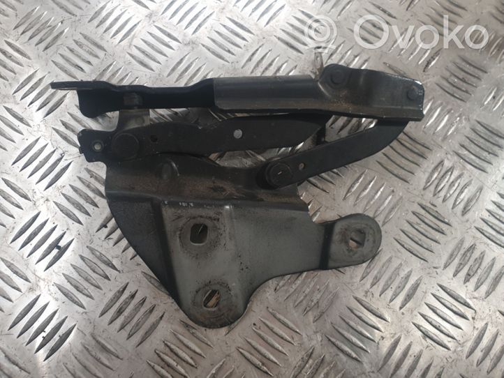 BMW X1 E84 Cerniere del vano motore/cofano 2990359