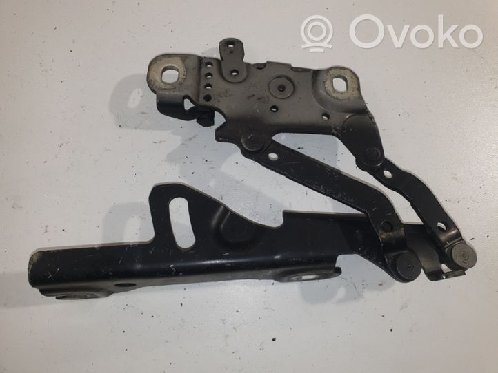 BMW 3 F30 F35 F31 Cerniere del vano motore/cofano 7336700